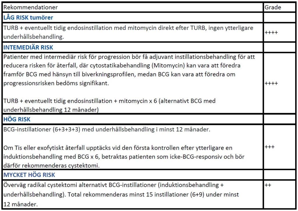 Schematisk bild av behandlingsrekommendationer vid icke-muskelinvasiv blåscancer.